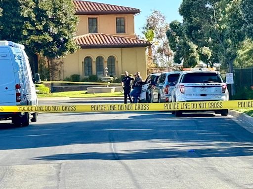 Newport Beach homeowner shoots night-time intruder before accomplice kills himself in bushes outside