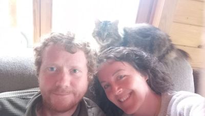 Wexford couple switch careers to open up cat hotel