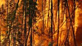 El cambio climático ha aumentado el riesgo de incendios, pero aún podemos influir en cómo y dónde se producen