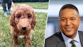 Craig Melvin's family got a puppy for Christmas! And we love his name