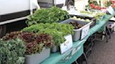 Crystal hosts first farmers market of the year