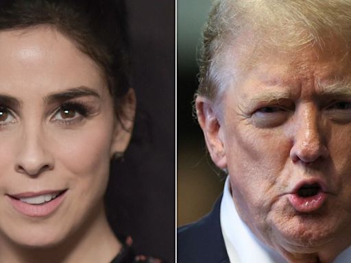 Sarah Silverman Shares 1 Reason Her Comedy Changed After Trump Was Elected