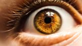 AI makes retinal imaging 100 times faster, compared to manual method