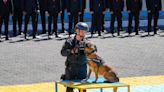 5 dogs with military intelligence unit in violence-plagued Ecuador given medals for service