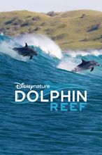 Dolphin Reef (film)