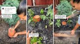 Gardener shares hack inspired by ancient methods for easily watering your plants: ‘Still can’t get over how cool [this] is’