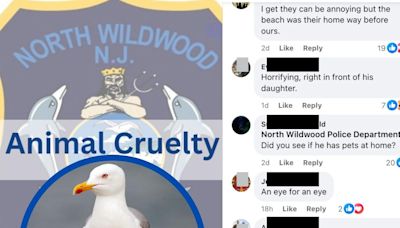 Public disgust for NJ man accused of beheading seagull at Shore