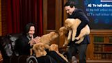 Watch Keanu Reeves win 6 puppies in Puppardy Tonight Show game: 'I'm the puppy king!'