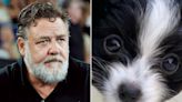 Russell Crowe Reveals 16-Month-Old Dog Louis 'Died in My Arms' After Being Hit by Truck