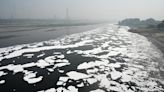 Ammonia spike in Yamuna hits water supply to north Delhi