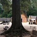 Jamestown Settlement