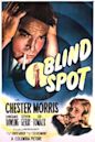 Blind Spot (1947 film)