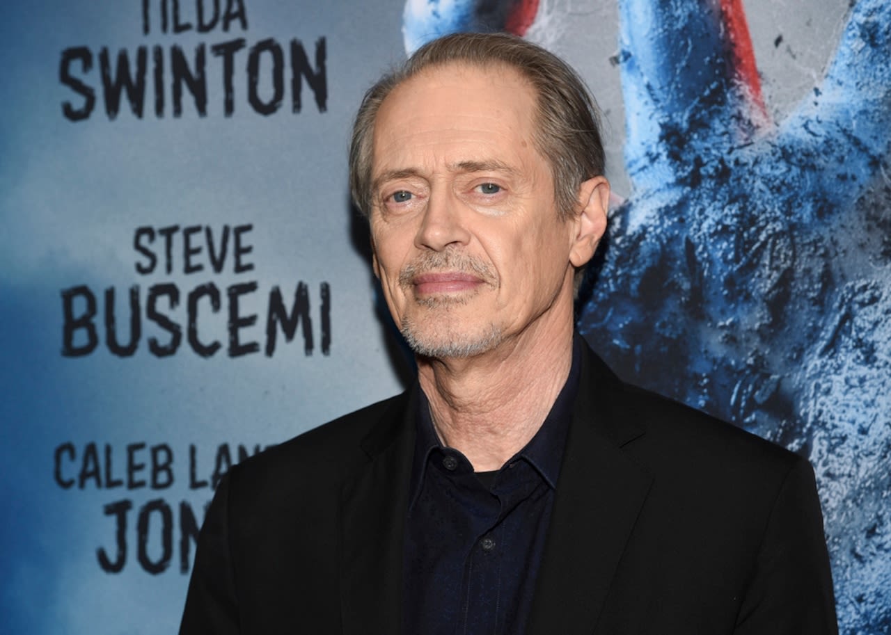 Actor Steve Buscemi punched in face on New York City street