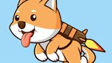 Baby Doge supera el rendimiento de Dogecoin y Shiba Inu