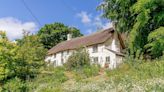 Thatched fairy tale cottage with enchanting gardens for sale in Devon