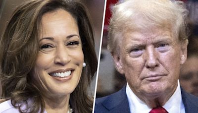 'He has shrunk': Kamala Harris finds antidote to Donald Trump's negativity