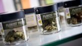 New York's legal weed program plagued by inexperienced leaders, report finds