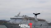 Depuradores de cruceros: una encrucijada de la contaminación marina