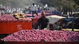 Kharif sowing area of onions to be 27% higher this year: Ministry