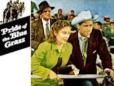 Pride of the Blue Grass (1954 film)