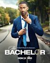 The Bachelor (American TV series) season 25