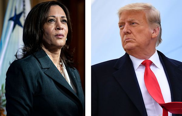 Trump would be "slapped down" by Harris in debate: US polling "Nostradamus"