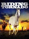 Tornado and the Kalahari Horse Whisperer