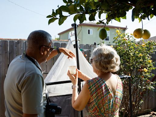 Bugs thrive in urban Los Angeles – volunteers’ traps reveal biodiversity hot spots for city insects and spiders