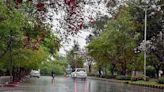 Heavy rain lashes Lahore, other Punjab cities