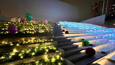 東九LED花海正式開放 浪漫清雅成打卡景點 區議員料逾百萬人次到訪
