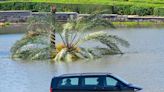 Slow recovery as Dubai airport, roads still deluged