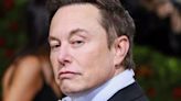 'Will Skip Omelets': Elon Musk Responds to Criticism of SpaceX Launch Destroying Bird Nests