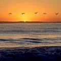 San Clemente State Beach