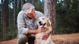 24 Quotes About Golden Retrievers That Perfectly Capture This Lovable Breed