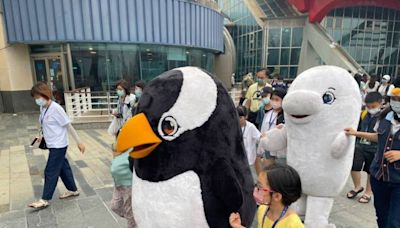 屏東海生館歡度世界企鵝日 馬可羅尼企鵝寶寶成長過程萌樣曝光 | 蕃新聞