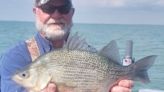 World record angler reels in state record for white perch