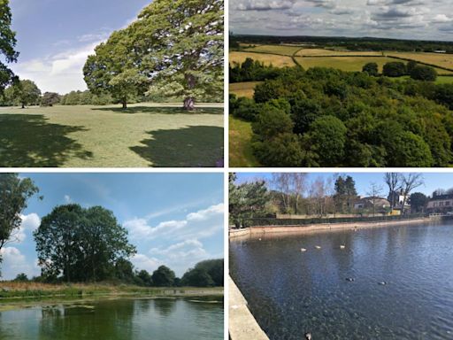 The top four walks to welcome the autumn season in Sutton