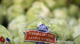 The Iceberg Lettuce Revival Has Wilted