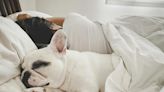 Could sharing a bedroom with your pets be keeping you from getting a good night’s sleep?