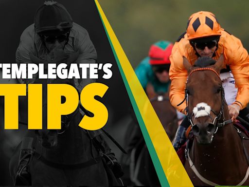 Templegate's NAP looks a cracking bet under this top 5lb claimer