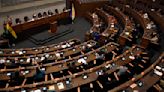 Tensiones y violencia en la Cámara de Diputados retrasan debate sobre la suspeción de elecciones primarias