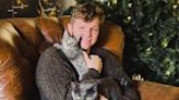 Garrison Brown Honored by Arizona Animal Shelter After His Death: ‘Your Memory Has Touched So Many Lives’