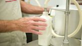 Raw milk is more dangerous than ever. So why are sales surging?