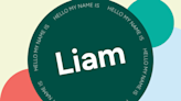 Liam Name Meaning