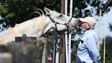 At a sanctuary for retired race horses, ex-Derby winner Silver Charm soaks up the good life