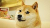 Muere Kabosu, la perrita que inspiró el meme ‘Doge’ y la criptomoneda Dogecoin