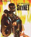 Skynet (video game)