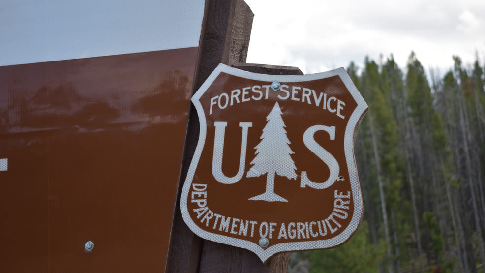 US Forest Service pilot hikes to safety after helicopter crash near central Idaho wildfire