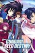 Mobile Suit Gundam SEED Destiny