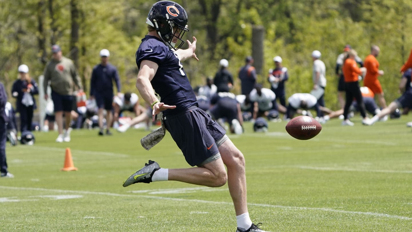 Bears 2024 Training Camp Preview: Tory Taylor Touted as Special